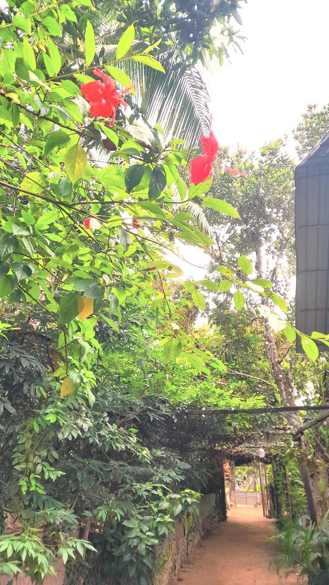 Sok Phen Homestay Siem Reap Buitenkant foto