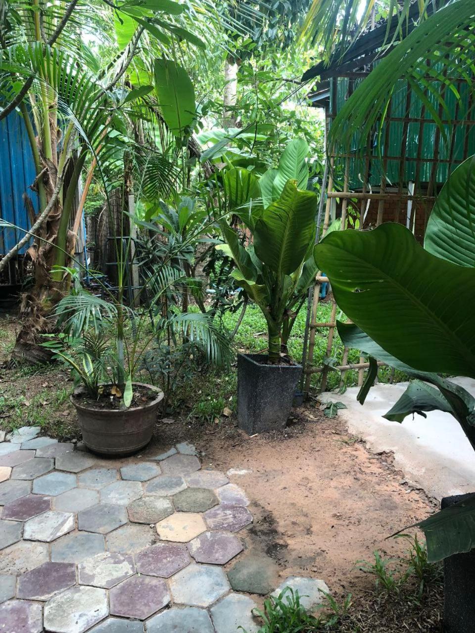 Sok Phen Homestay Siem Reap Buitenkant foto