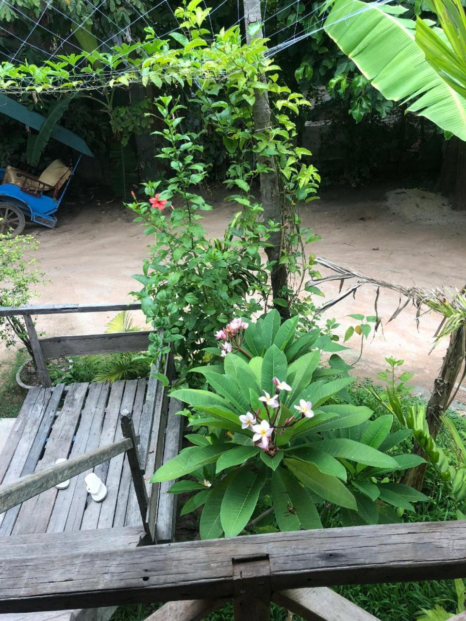 Sok Phen Homestay Siem Reap Buitenkant foto