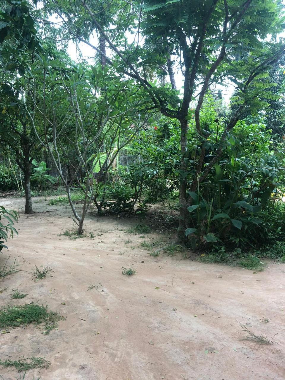 Sok Phen Homestay Siem Reap Buitenkant foto